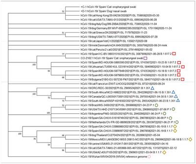 First Detection of SARS-CoV-2 B.1.617.2 (Delta) Variant of Concern in a Symptomatic Cat in Spain